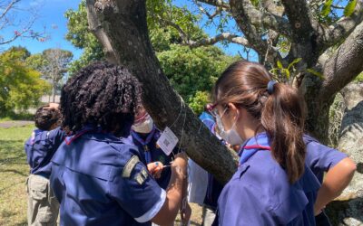 UM OLHAR PROFUNDO SOBRE AS PRÁTICAS ECO DA GM