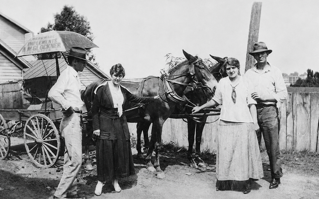QUANDO O SEMINOVO ERA UM CAVALO